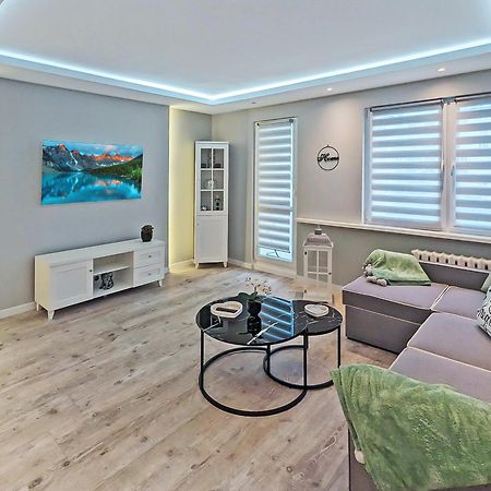 Ultra Modern, Spotless Apartment In Stary Toruń Zewnętrze zdjęcie