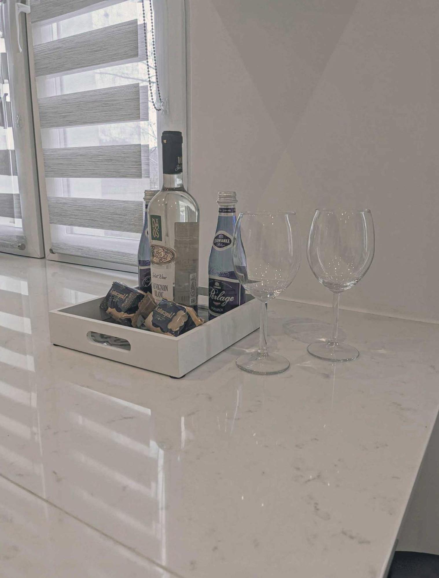 Ultra Modern, Spotless Apartment In Stary Toruń Zewnętrze zdjęcie